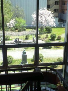 180421_1157~0001.jpg