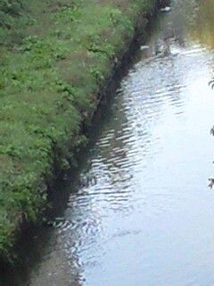 181105_0800~0001.jpg