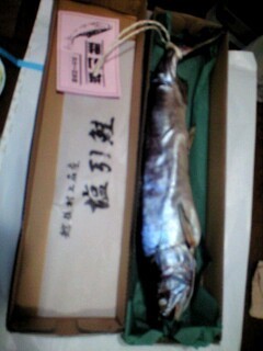 190101_1413~0001.jpg