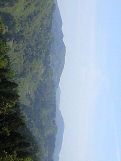 190511_1002~0002.jpg