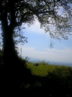 190511_1004~0002.jpg